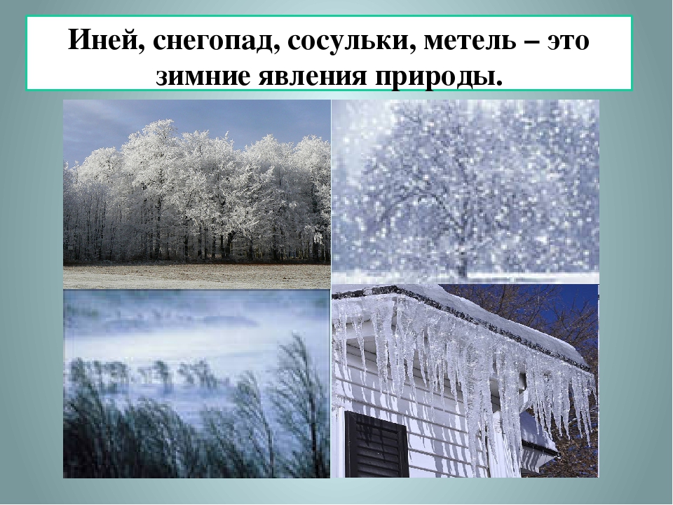 Какие явления природы зимой. Явления зимы. Явления природы снегопад. Природные явления зимы для дошкольников. Зимнееявления природы.