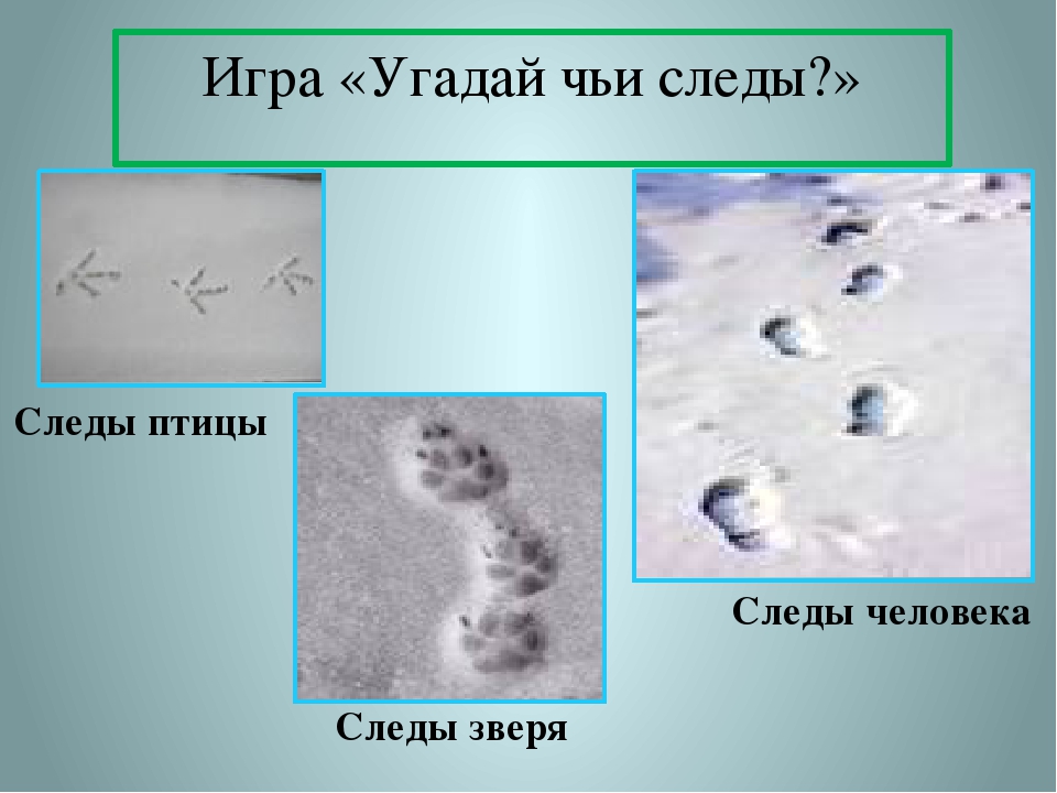 Презентация "Зимушка - зима"