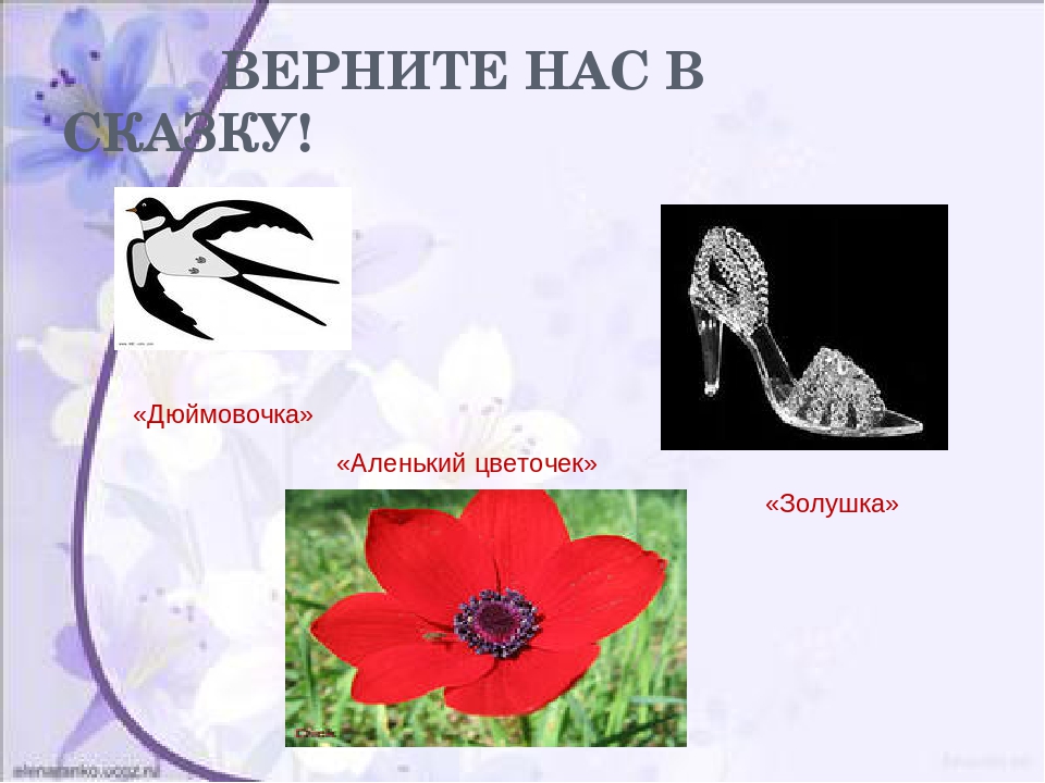 Путешествие по сказкам по сказкам