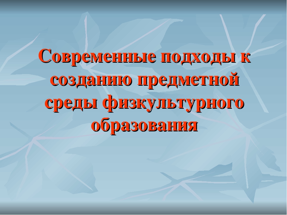 Современные подходы к организации предметной среды физкультурного образования.