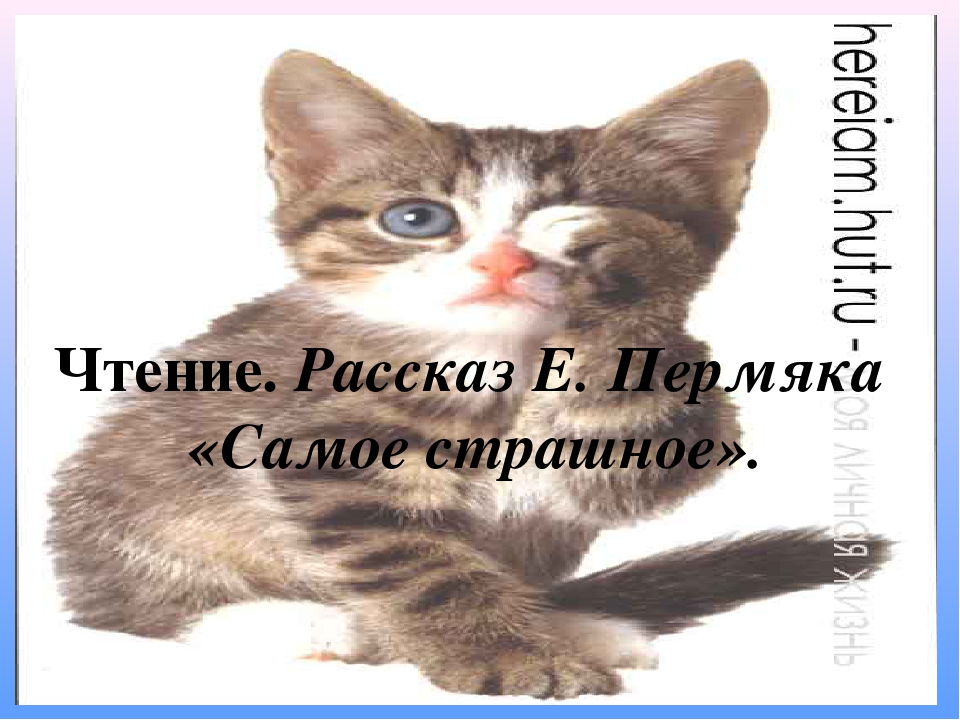 Презентация на тему "Учимся прощать"