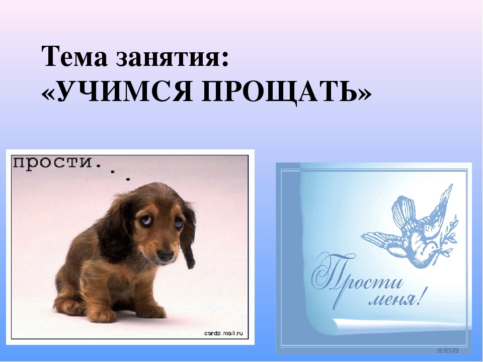 Презентация на тему "Учимся прощать"