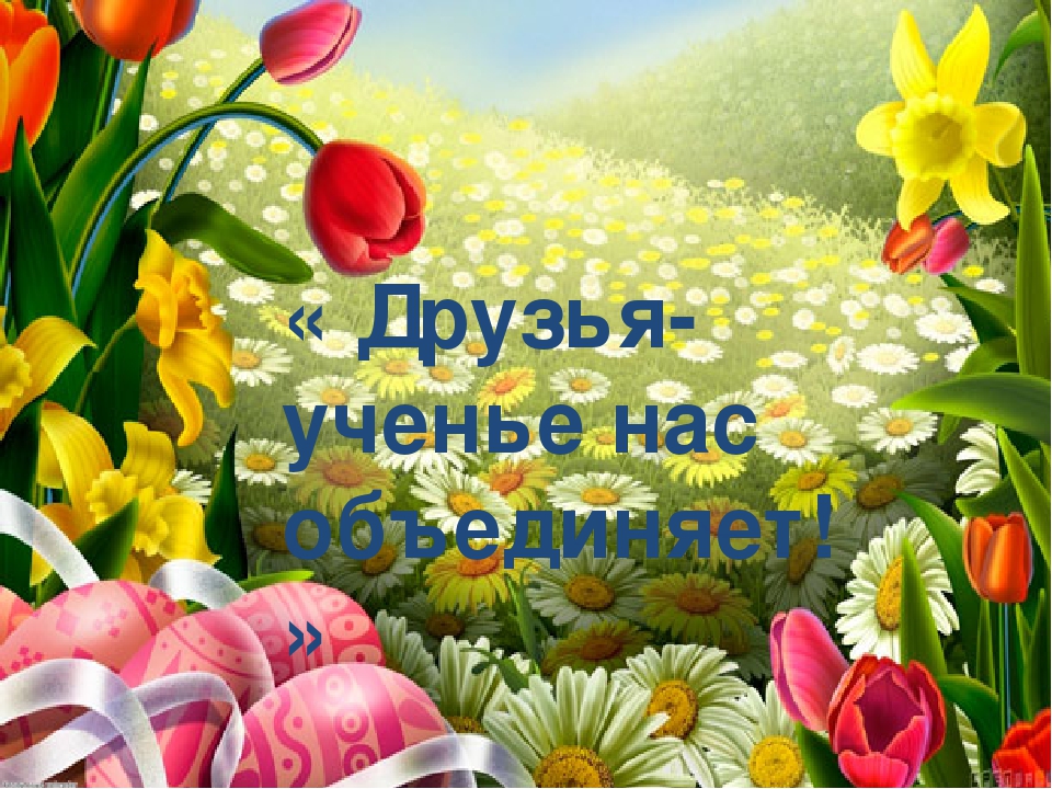 Презентация по математике на тему «Тяжелее, легче. Сравните по массе."