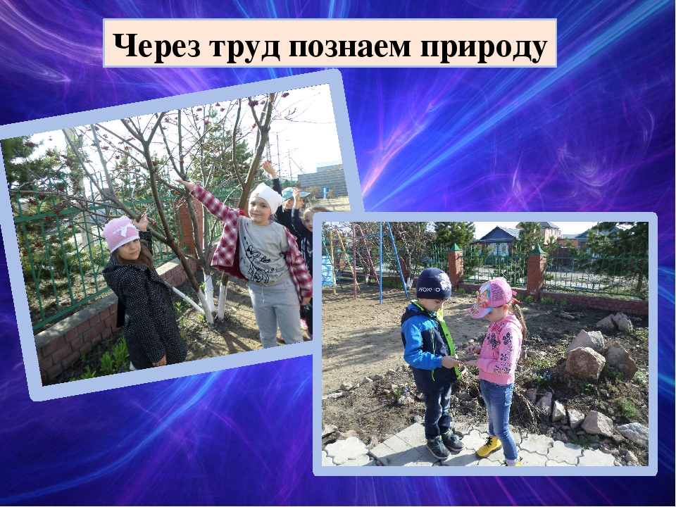 Презентация по исследовательской деятельности в подготовительной группе "Мы исследователи"