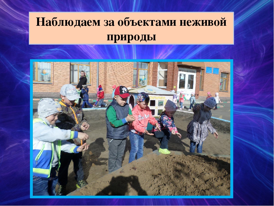 Презентация по исследовательской деятельности в подготовительной группе "Мы исследователи"