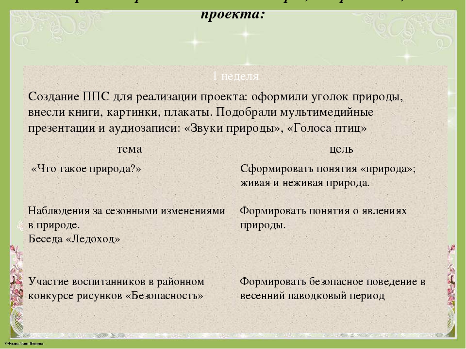 Экологический проект "Край родной - земля Чаинская"
