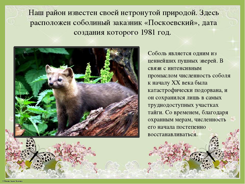 Альбом "Заповедные места Чаинского района"