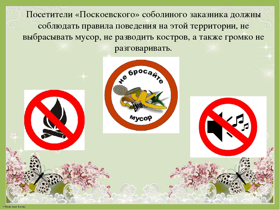 Альбом "Заповедные места Чаинского района"