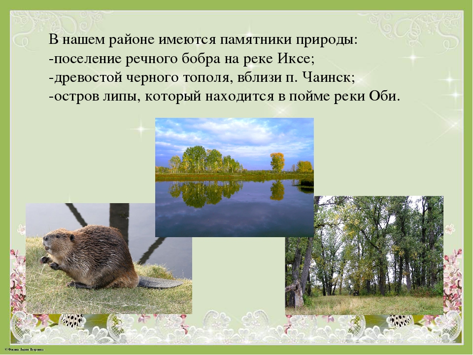 Альбом "Заповедные места Чаинского района"