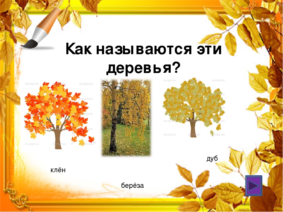 Викторина к тематическому занятию на тему "Осень золотая"