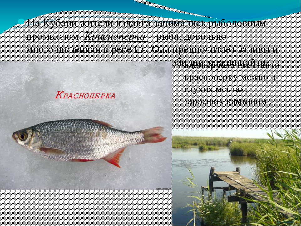Презентация на тему: "Водные ресурсы Земли"