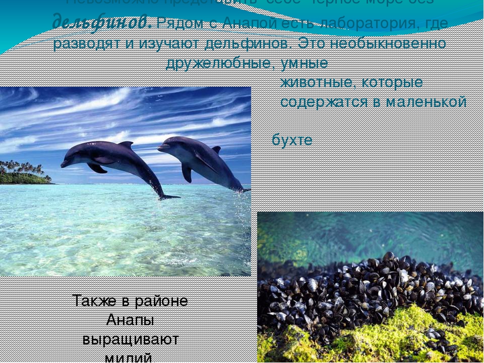 Презентация на тему: "Водные ресурсы Земли"