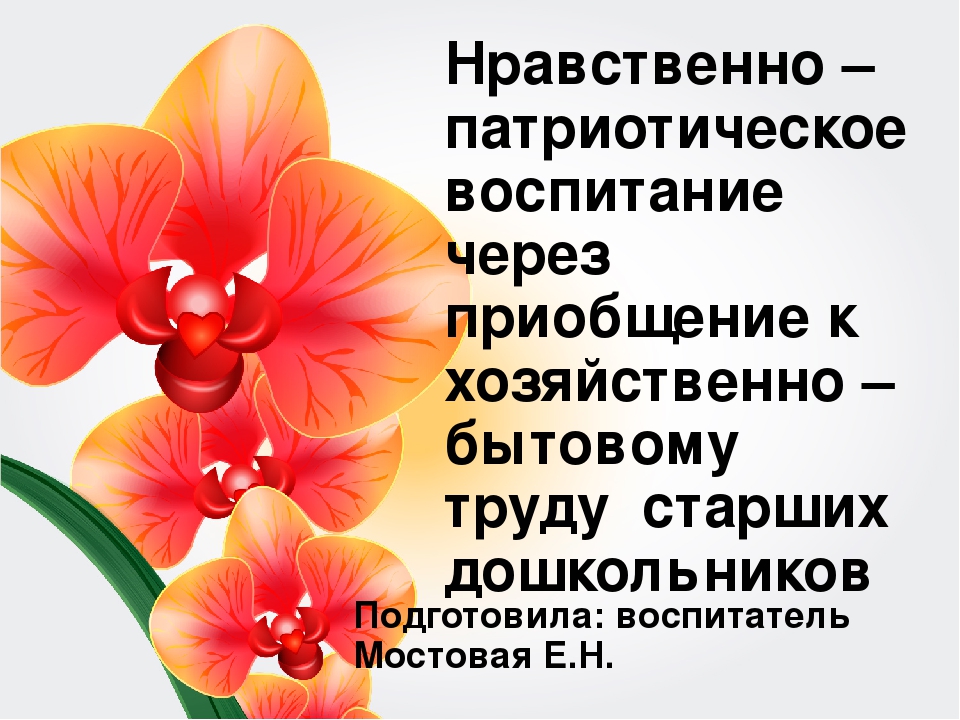 Нравственно-патриотическое воспитание через приобщение к хозяйственно бытовому труду старших дошкольников