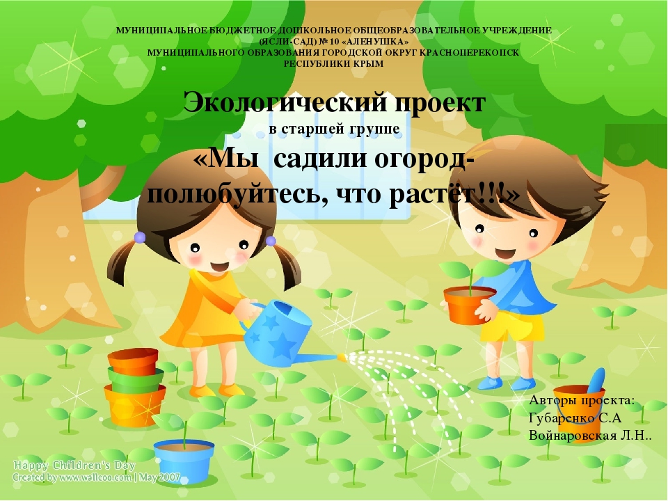 Проект по экологическому воспитанию "Чудо-огород"