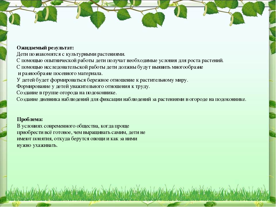Проект по экологическому воспитанию "Чудо-огород"