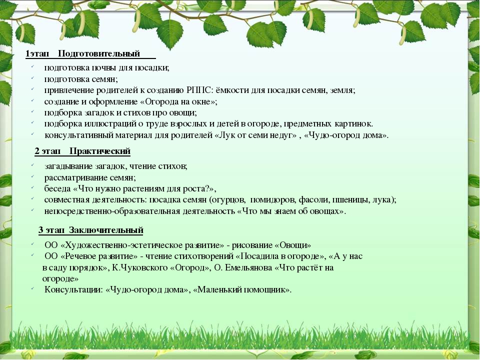 Проект по экологическому воспитанию "Чудо-огород"