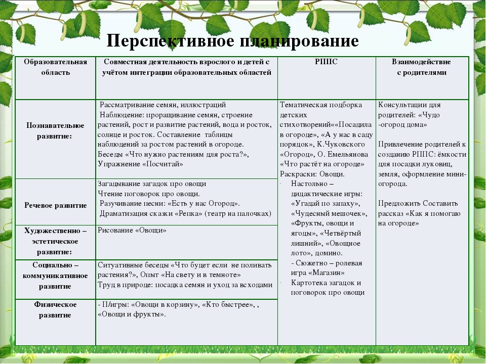 Проект по экологическому воспитанию "Чудо-огород"