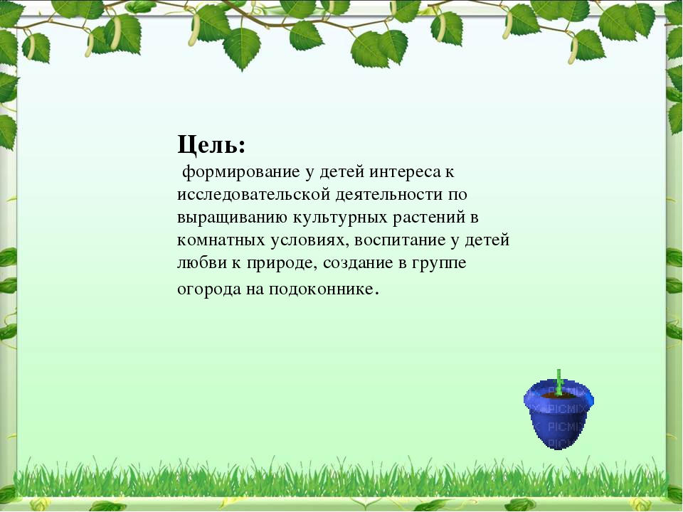 Проект по экологическому воспитанию "Чудо-огород"