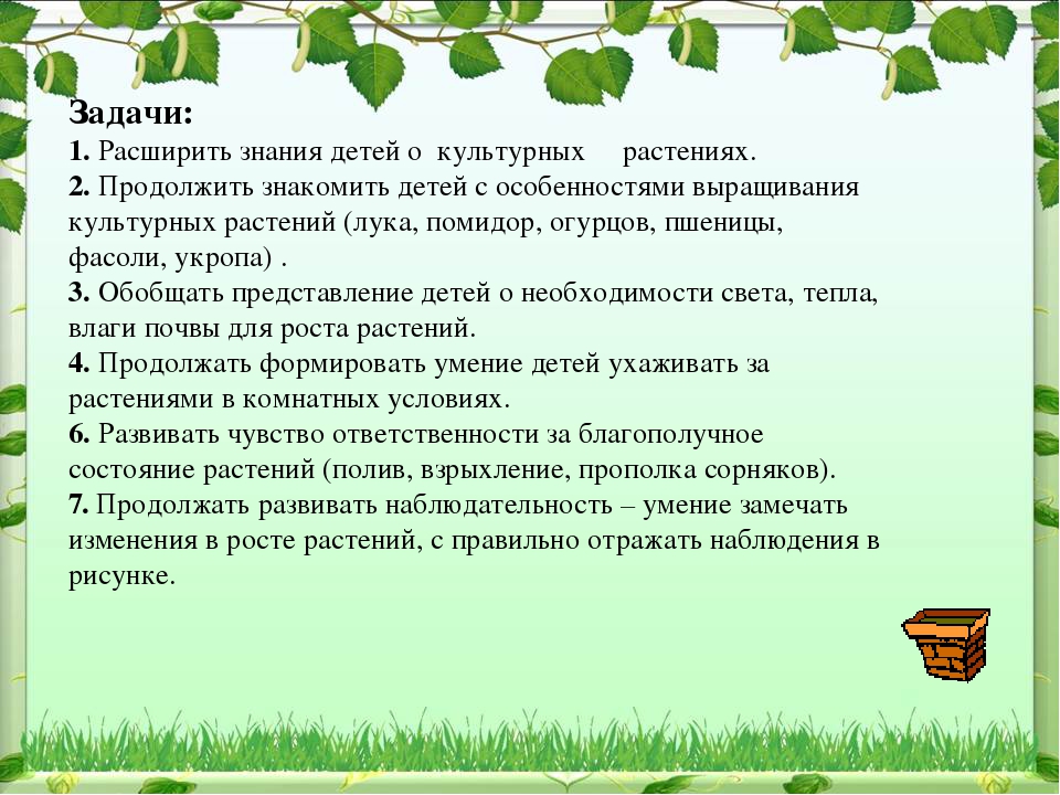 Проект по экологическому воспитанию "Чудо-огород"