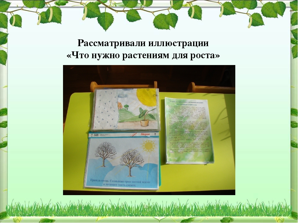 Проект по экологическому воспитанию "Чудо-огород"