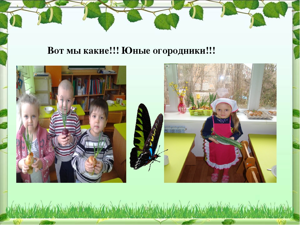 Проект по экологическому воспитанию "Чудо-огород"