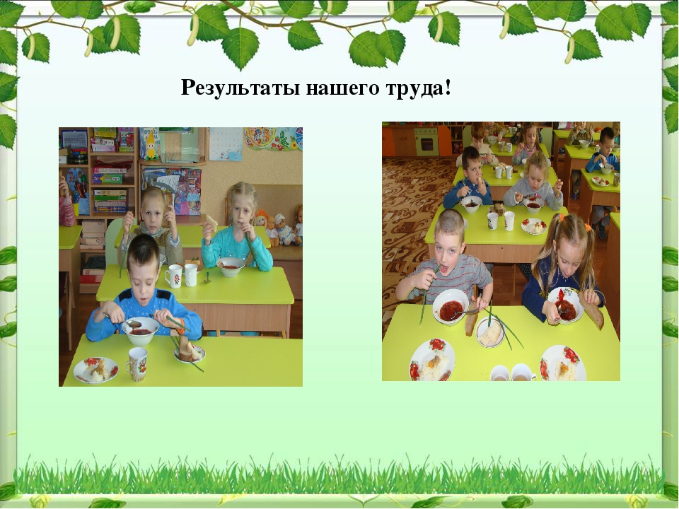 Проект по экологическому воспитанию "Чудо-огород"