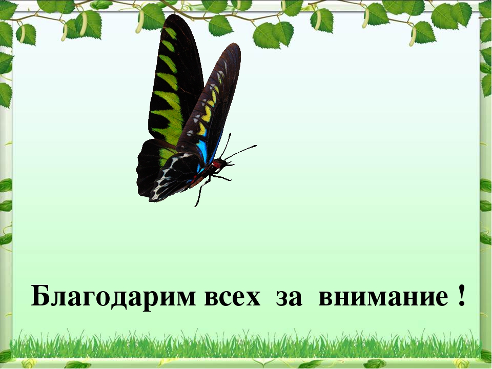 Проект по экологическому воспитанию "Чудо-огород"