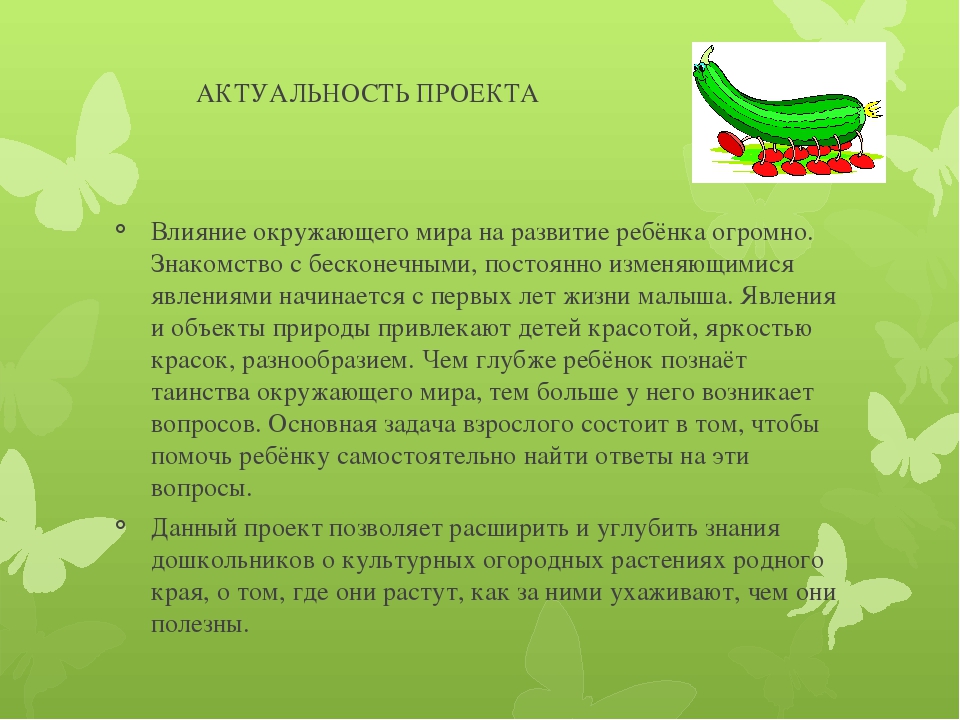 Экологический проект на тему "Что растет на грядке?"