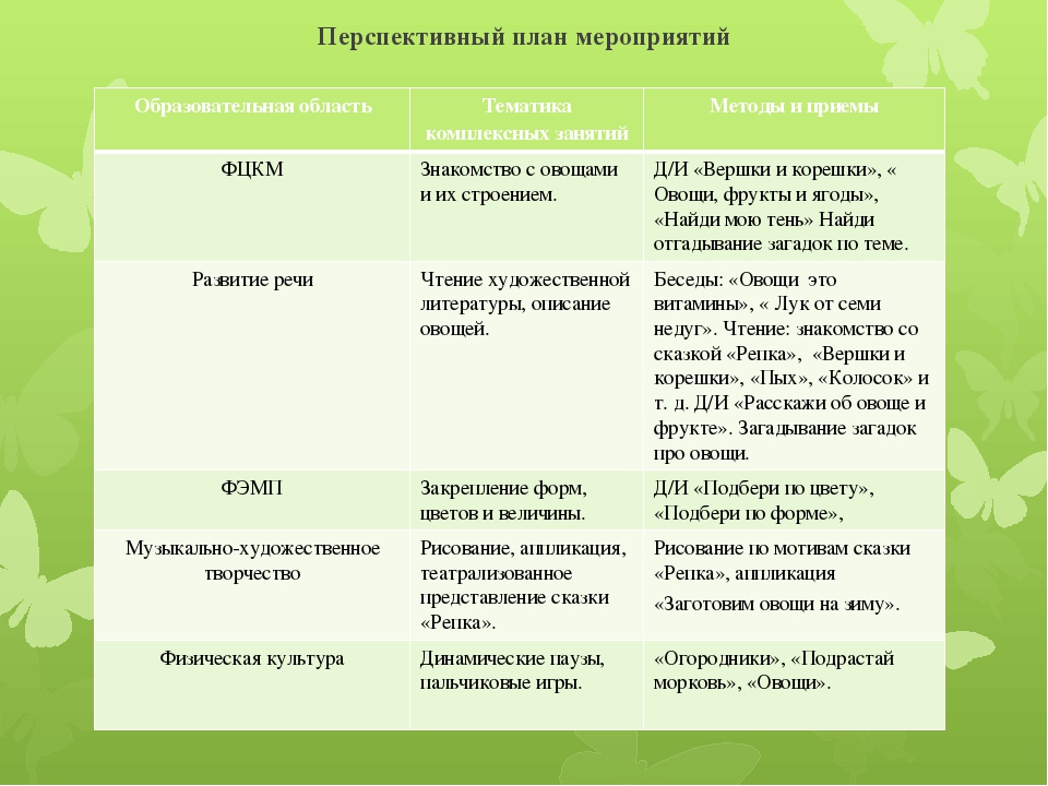 Экологический проект на тему "Что растет на грядке?"