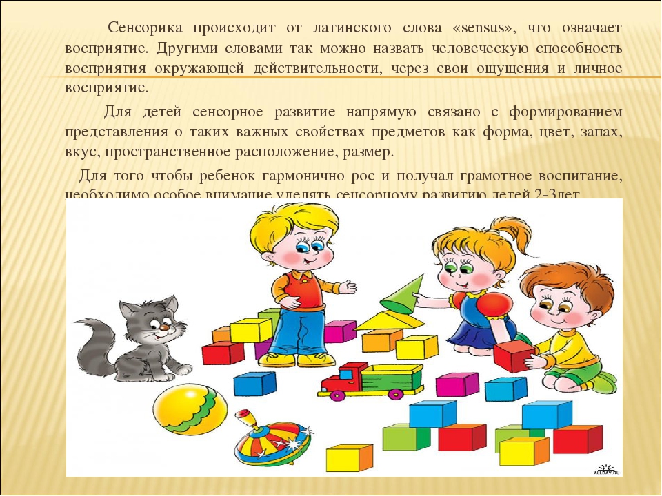 Презентация "Сенсорное развитие детей 2-3 лет через дидактические игры"