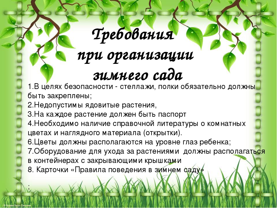 Зимний сад в Дошкольном Учреждении