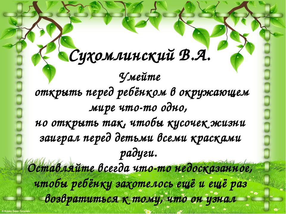 Зимний сад в Дошкольном Учреждении