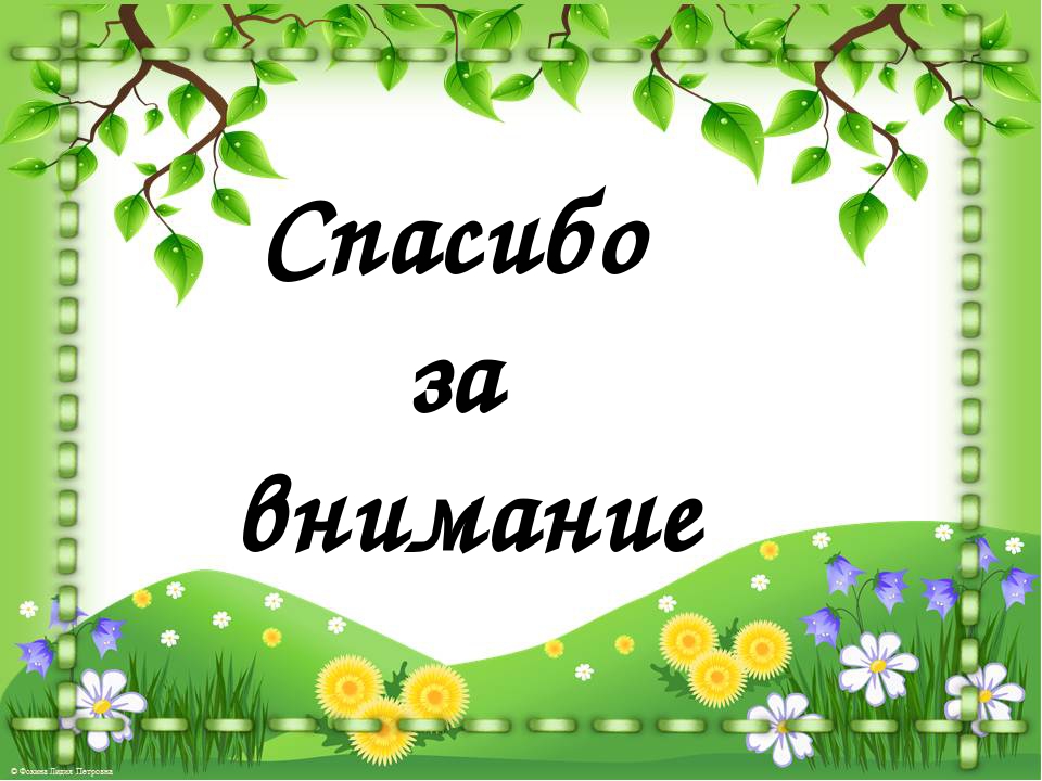Зимний сад в Дошкольном Учреждении