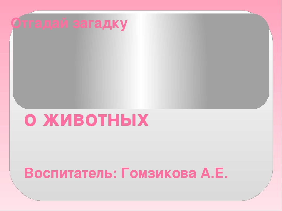 Презентация "Отгадай загадки о животных"