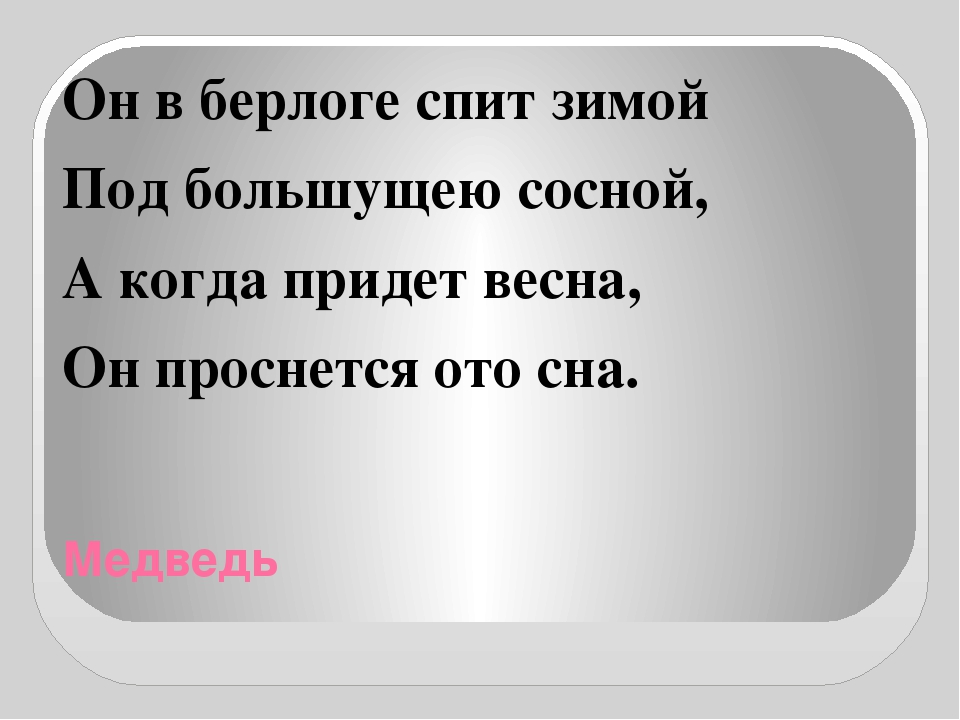 Презентация "Отгадай загадки о животных"