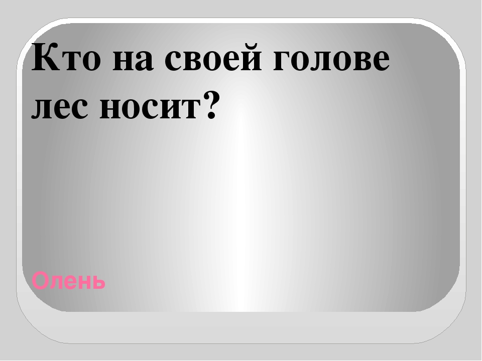 Презентация "Отгадай загадки о животных"