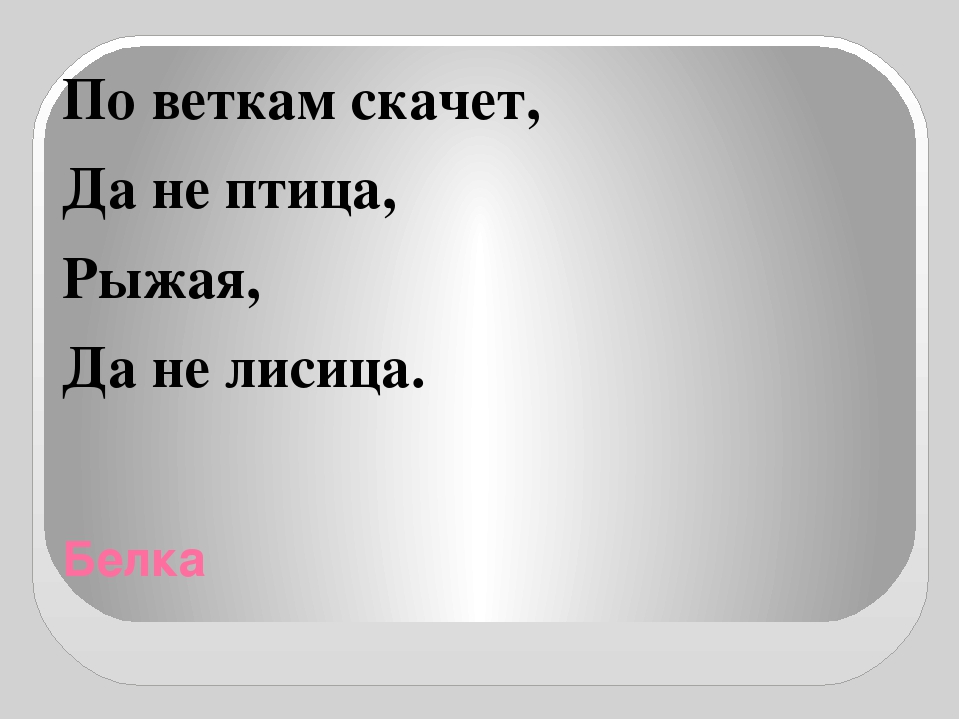 Презентация "Отгадай загадки о животных"