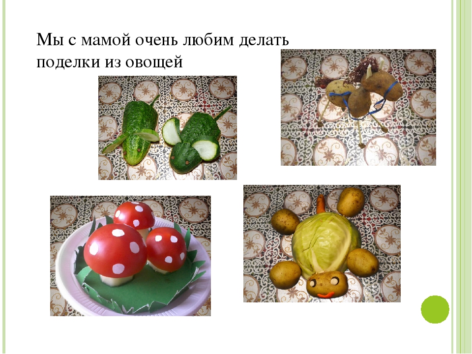 Презентация по ознакомлению с окружающим миром "Моя семья"
