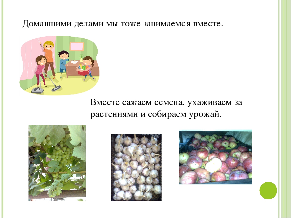 Презентация по ознакомлению с окружающим миром "Моя семья"