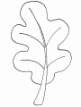 Shape1
