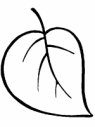 Shape4