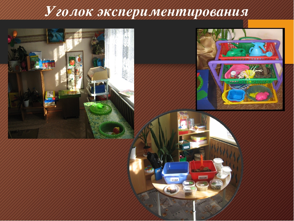 Презентация на тему "Поисково - исследовательская деятельность"