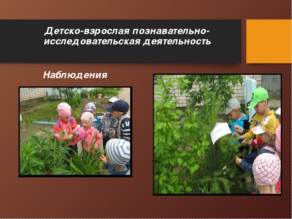 Презентация на тему "Поисково - исследовательская деятельность"