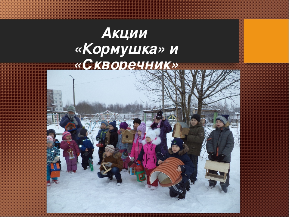 Презентация на тему "Поисково - исследовательская деятельность"