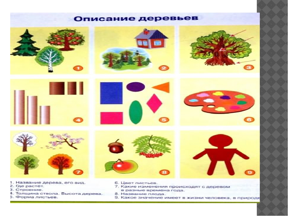 Презентация по теме «Использование технологии «мнемотехника»в образовательном процессе ДОУ