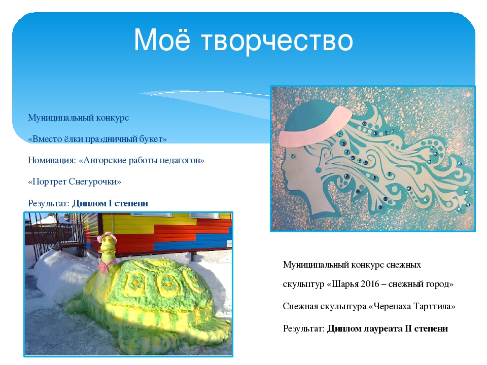 Презентация на тему: "Мои достижения"