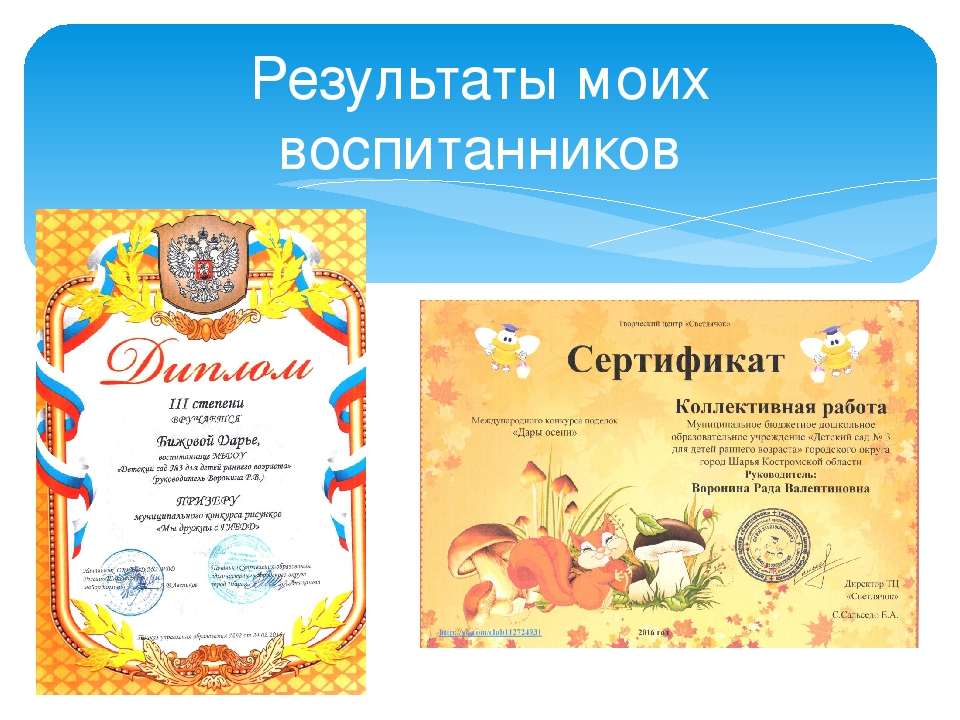Презентация на тему: "Мои достижения"