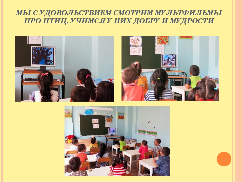 Презентация "Птицы - наши друзья"