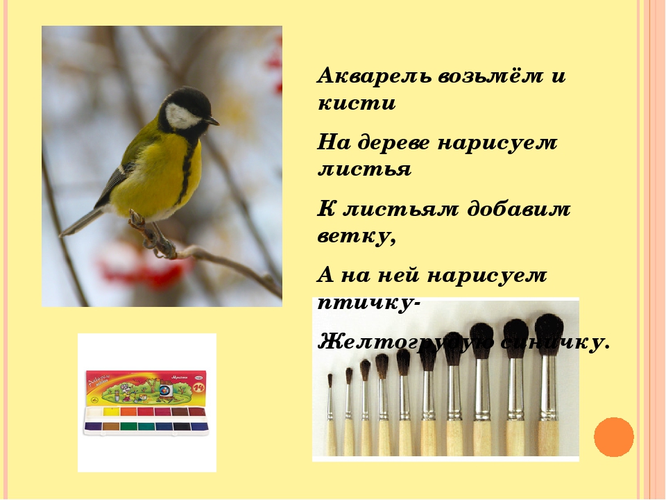 Презентация "Птицы - наши друзья"