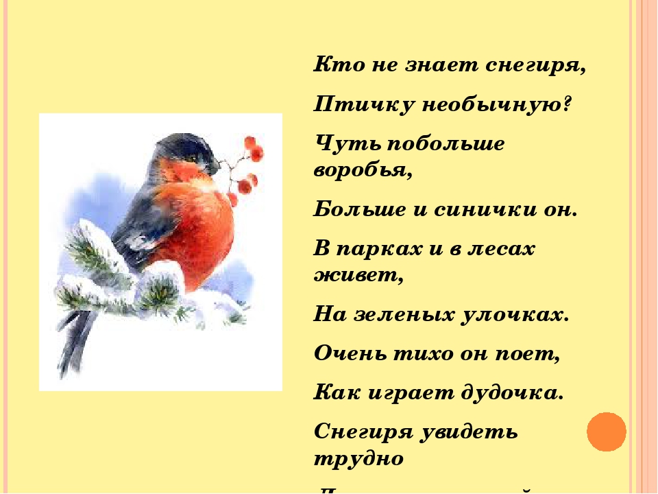 Презентация "Птицы - наши друзья"